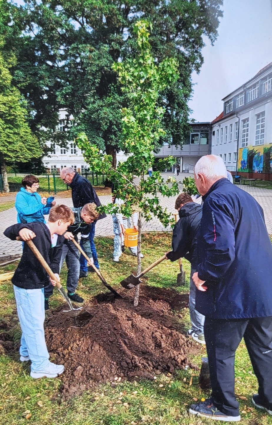 20260310 100432 resized