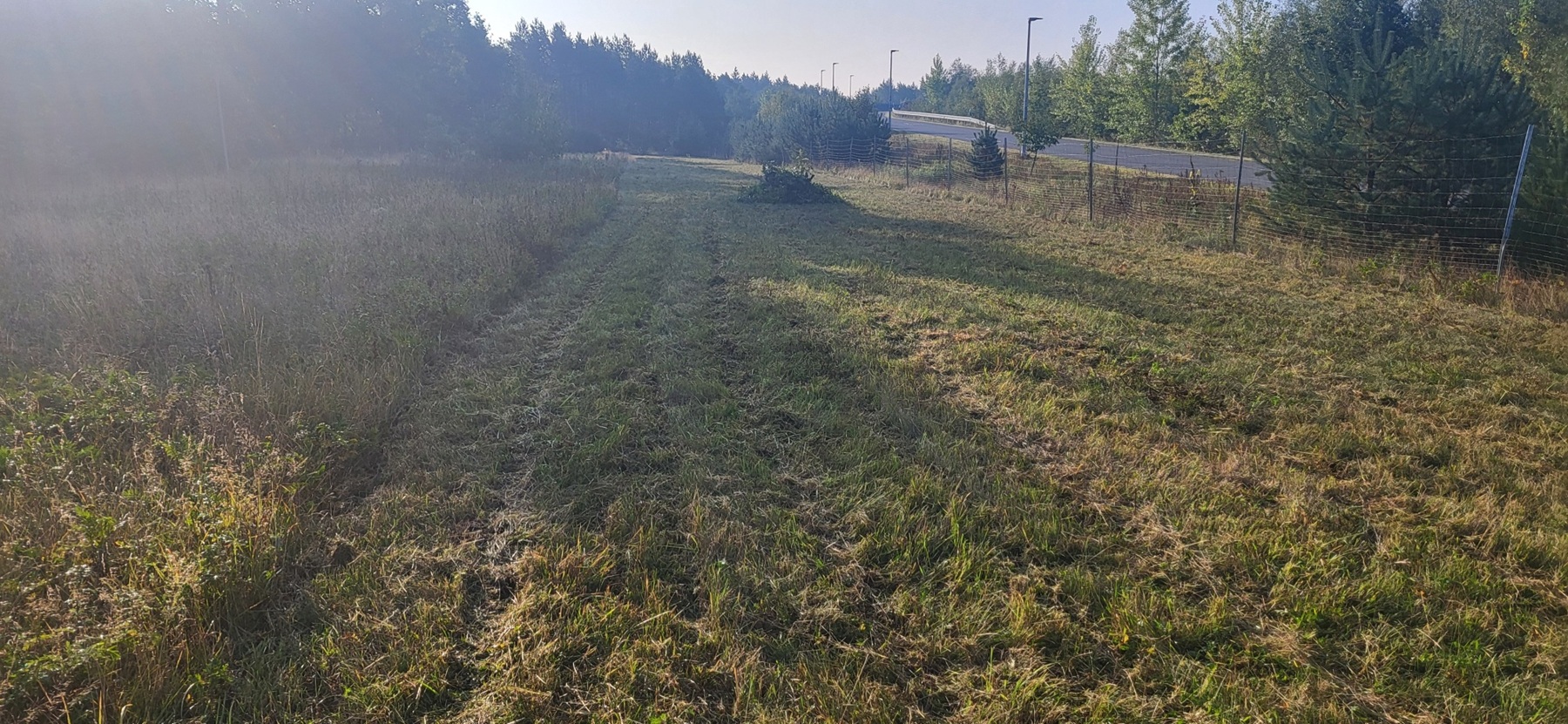 20251001 092249 resized